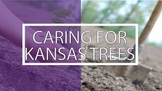 Caring for Kansas Trees