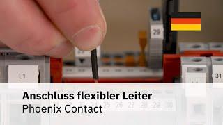 Can flexible conductors without ferrules be connected to terminals blocks?