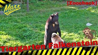 [Zoocheck] Tiergarten Falkenstein