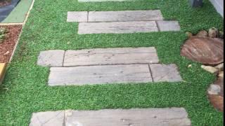 Living Plant Tiles of Dichondra repens between paving at a Childcare Centre