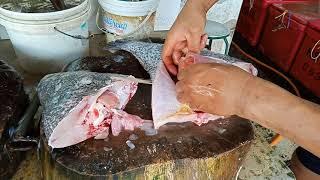 Triplet Tail cutting skills and Slicing skills in Cecil street market Penang  Georgetown Malaysia