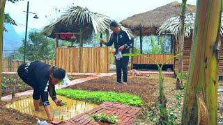 1 Month of Gardening in New Land. Brick path, vegetable garden, wooden flower pots