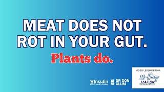 Meat does not rot in your gut. Plants do. | Dr. Don Clum