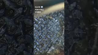 These AirPods need to be #DeepCleaned to improve their sound. #tech #Insider