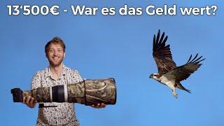 Canon RF 600mm f/4 - Perfektes Objektiv für die Vogelfotografie?