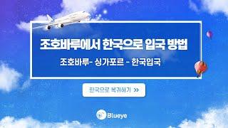 [블루아이]조호바루에서 싱가포르를 거쳐서 한국 입국 하는 방법
