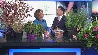 Melinda Myers offers fall gardening advice