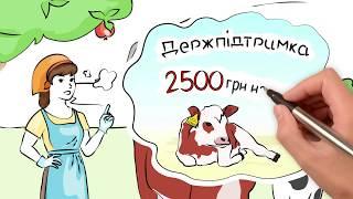 Як отримати 2500 гривень на теля - Міністерство аграрної політики та продовольства України