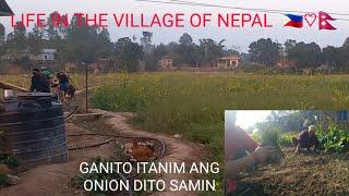 FILIPINA in NEPAL LIFE in the village | during winter season | nagsimulan na pag tanim nang onion