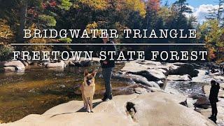 Bridgewater Triangle /Freetown State Forest