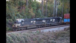 NS 242 at Shadow Brook