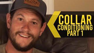 Collar Conditioning Part 1 - Duck Dog Training