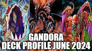 GANDORA THE DRAGON OF DESTRUCTION DECK PROFILE (JUNE 2024) YUGIOH!