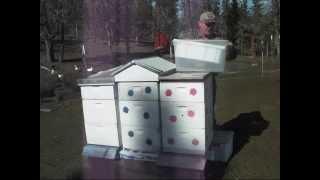 Setting Up Beekeeping for beginners at Pine Meadows Hobby Farm