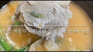 [보들라이프] 해운대 돼지국밥 맛집 양산왕돼지국밥!!