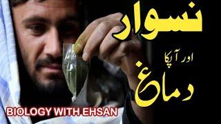 naswar and its side effects|what is naswar| snuff and it's ingredients|Naswar k nuqsanat