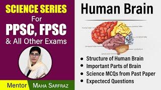 PPSC, FPSC Science Series | Human Brain | Maha Sarfraz
