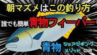 【青物】朝マズメはこの釣り方で誰でも簡単に青物フィーバー（ショアジギング）