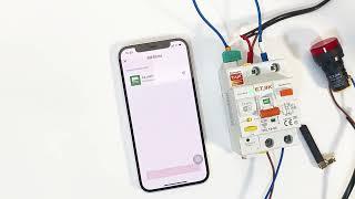 ETEK Tuya WIFI Smart Circuit Breaker RCBO Smart Life Remote Control