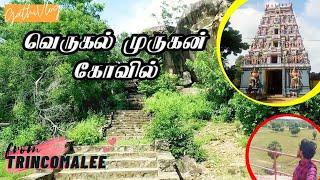 வெருகல் முருகன் கோவில் நோக்கிய  பயணம் | Verugal Murugan Temple |Trincomalee -Batticaloa | GathiVlog