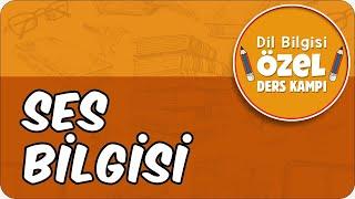 Ses Bilgisi | Dil Bilgisi Özel Ders Kampı