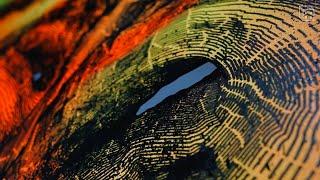 Андрей Бергер. Vibrant Matter