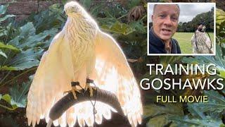 Falconry: HOW TO TRAIN A GOSHAWK . A film by Dave Sharpe