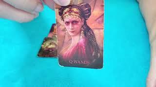 TAURUS - THIS SHOULD CHEER YOU UP!  NOVEMBER 2024