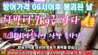 활어횟감 대방어 생굴 꼬막 갈치 12/16일  04시반 정규라이브(월~토)️Only one 새롭고 싸고 다양한 노량진수산시장 새벽 쇼핑을 돕는 정규생방송(Live)운영~^^