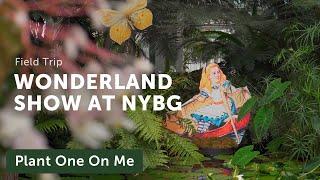 New York BOTANICAL GARDEN WONDERLAND Tour — Ep. 391