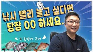 낚시 실력을 속성으로 올리려면  이방법이 최고입니다