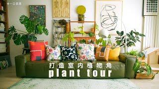 Houseplant Tour 2023 | 50+ plants in my house打造室内植物角