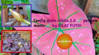 Config gcam nikita 2.0  permen manis  by KILAT PUTIH