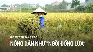 Giá vật tư nông nghiệp tăng cao, nông dân như “ngồi đống lửa” | Truyền hình Quốc hội Việt Nam