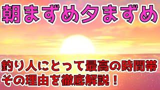 【朝まずめと夕まずめ】なぜ釣れる？「マズメ」の意味とその効果