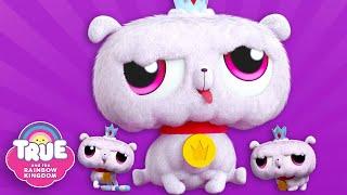 Giant Puppy!  Frookie Sitting and More Full Episodes!  2 Full Hours  True and the Rainbow Kingdom