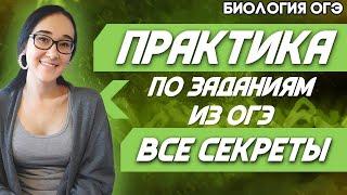 ОГЭ Биология 2022 | Выделительная ткань | Супер практика по заданиям из ОГЭ