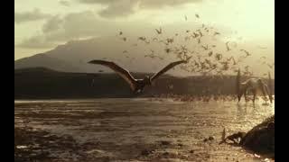 All Quetzalcoatlus Scenes (Jurassic World Dominion Prologue/Trailer)
