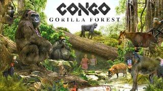 Zoo Tours: The Best Exhibit in America? Congo Gorilla Forest at the Bronx Zoo