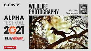 Wildlife Photography Workshop By Dr. Lalith Ekanayake (English Medium)