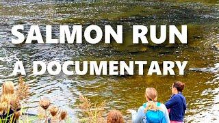 Documentary of Salmon Run / Port Hope Sept 2022 / 4K