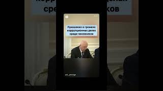 Лукашенко о громких коррупционных делах среди чиновников