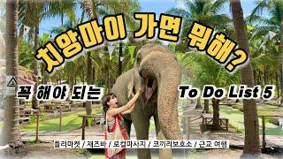  태국 치앙마이 자유여행, 한달살기 이건 꼭 하세요️ 50일 살고 진심으로 추천하는 볼거리, 여행코스, 여행지 tip 총정리