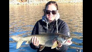 Lake Trout Pup Spawn Status Fall 2024 Flaming Gorge