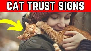 8 Ways Your Cat Shows They Trust You Completely (IMPORTANT CAT CARE)