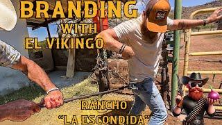 Branding with El Vikingo: Rancho "La Escondida"