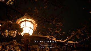 The sound of snow falling warmly wraps your heart ASMR  Nature sounds, sleep, rest