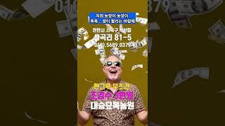 묘목 큰세일 대승묘목농원