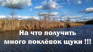 Рыбалка БЕЗ ЭХОЛОТА на ЩУКУ! Тонкости ловли щуки на мелком водоёме .На что получить много поклёвок