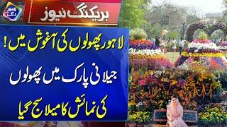 Jilani Park Lahore Mein Phoolon Ki Numaish | Breaking News | Lahore Rang